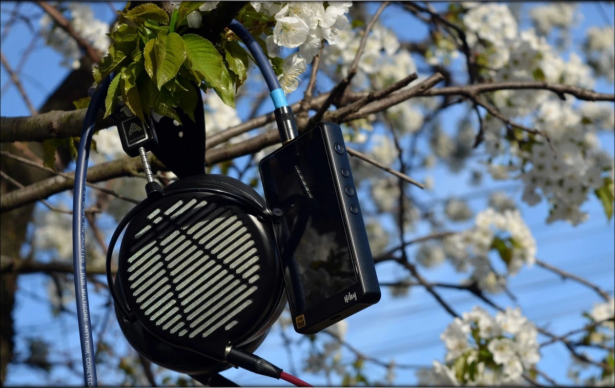 Audeze LCD-MX4 - Precisely Amazing!