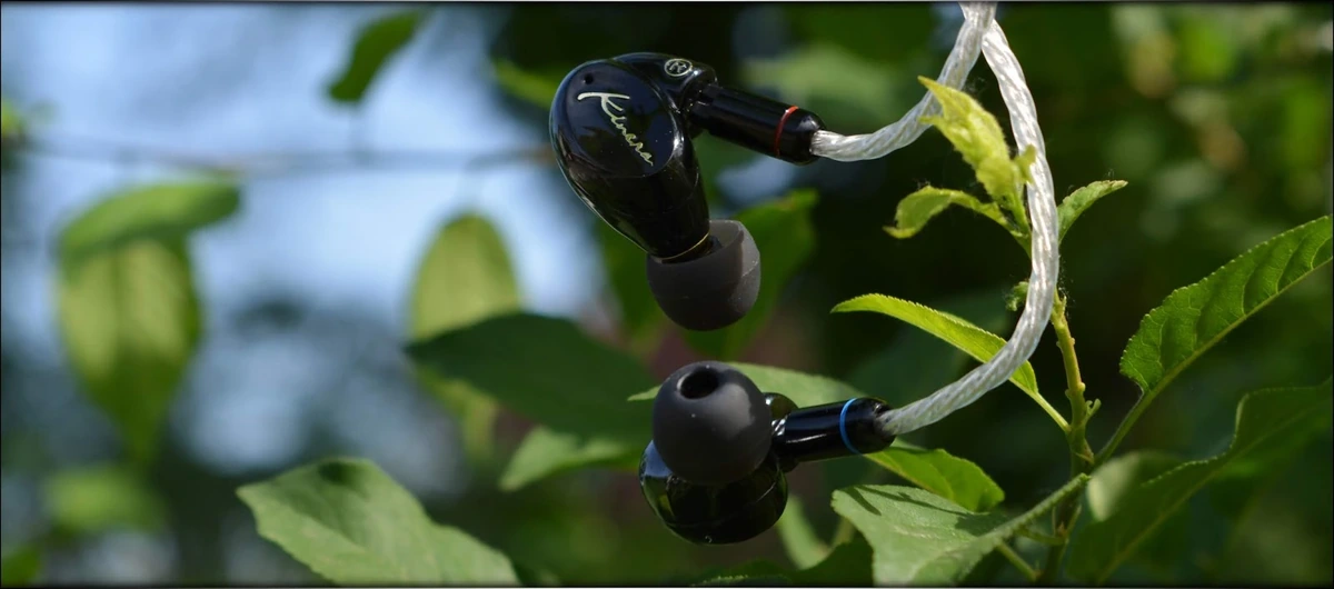 V-shaped Fun - Kinera Seed IEMs Review