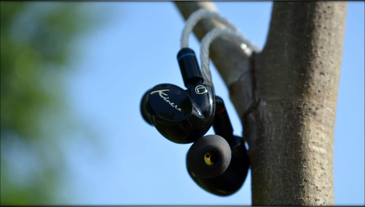 V-shaped Fun - Kinera Seed IEMs Review