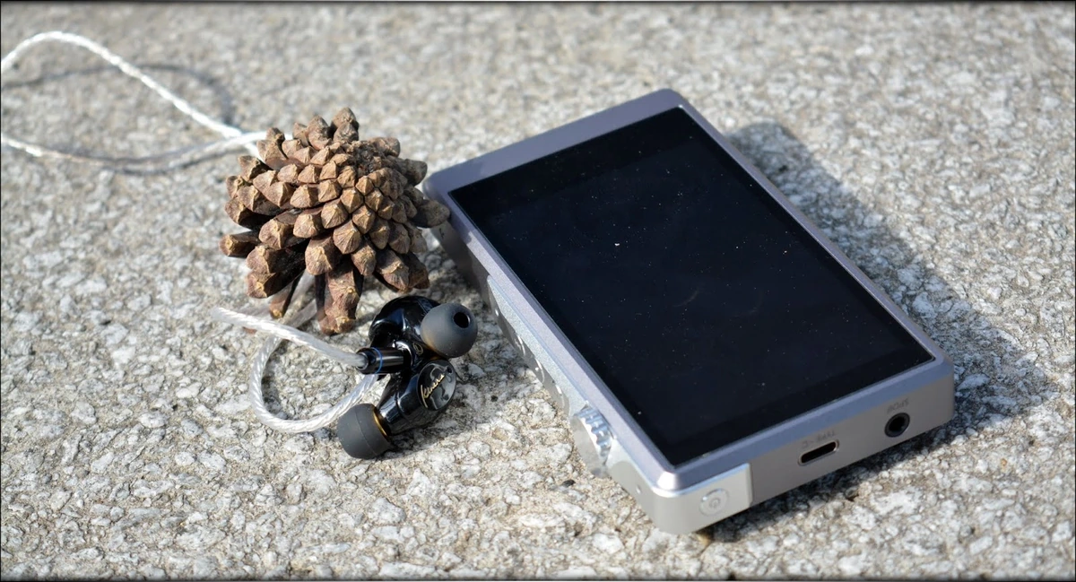 V-shaped Fun - Kinera Seed IEMs Review V-shaped Fun - Kinera Seed IEMs Review