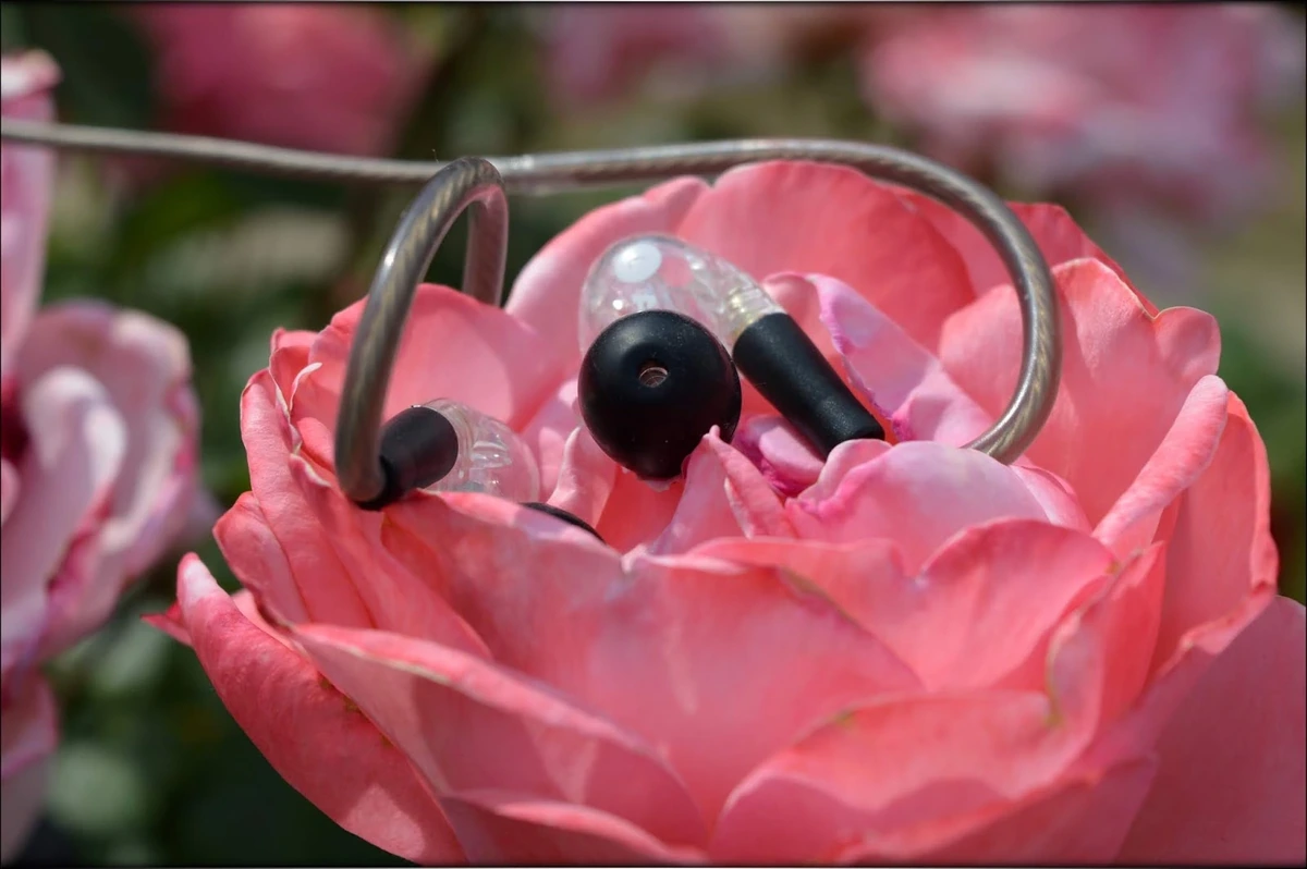 Advanced Model 3 Bluetooth IEMs Review - Audiophile-Heaven Advanced Model 3 Bluetooth IEMs Review - Audiophile-Heaven