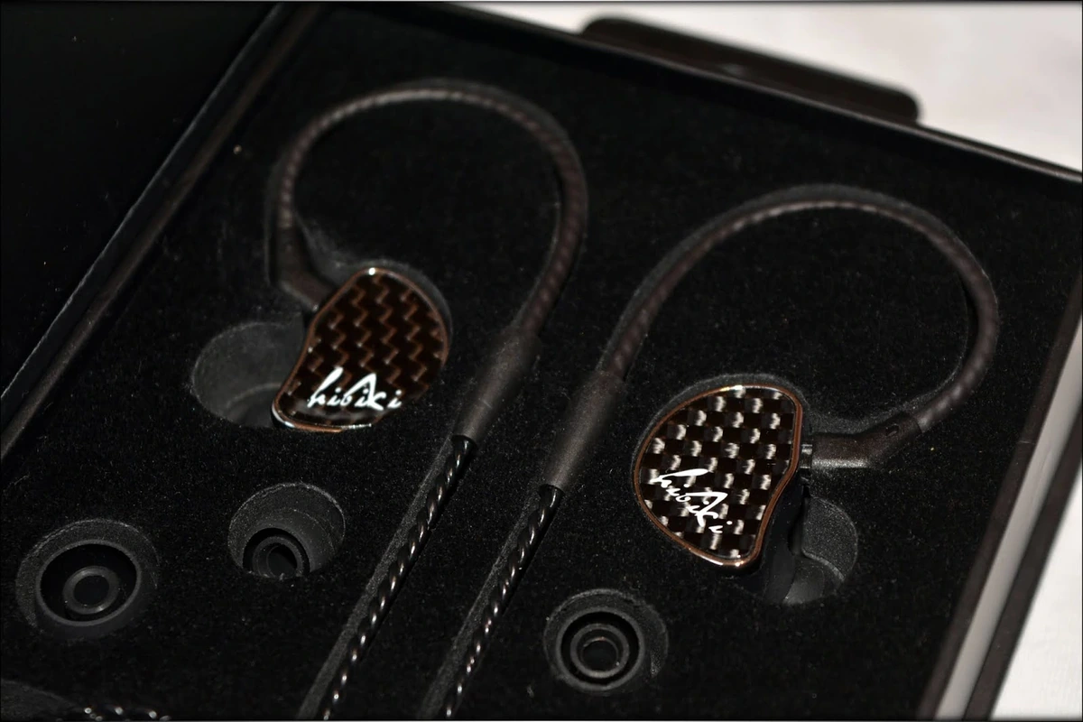 Shozy Hibiki IEMS Review - Audiophile-Heaven