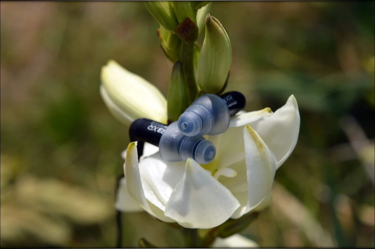 Precise Beauty - Etymotic ER3XR IEMs Review Precise Beauty - Etymotic ER3XR IEMs Review