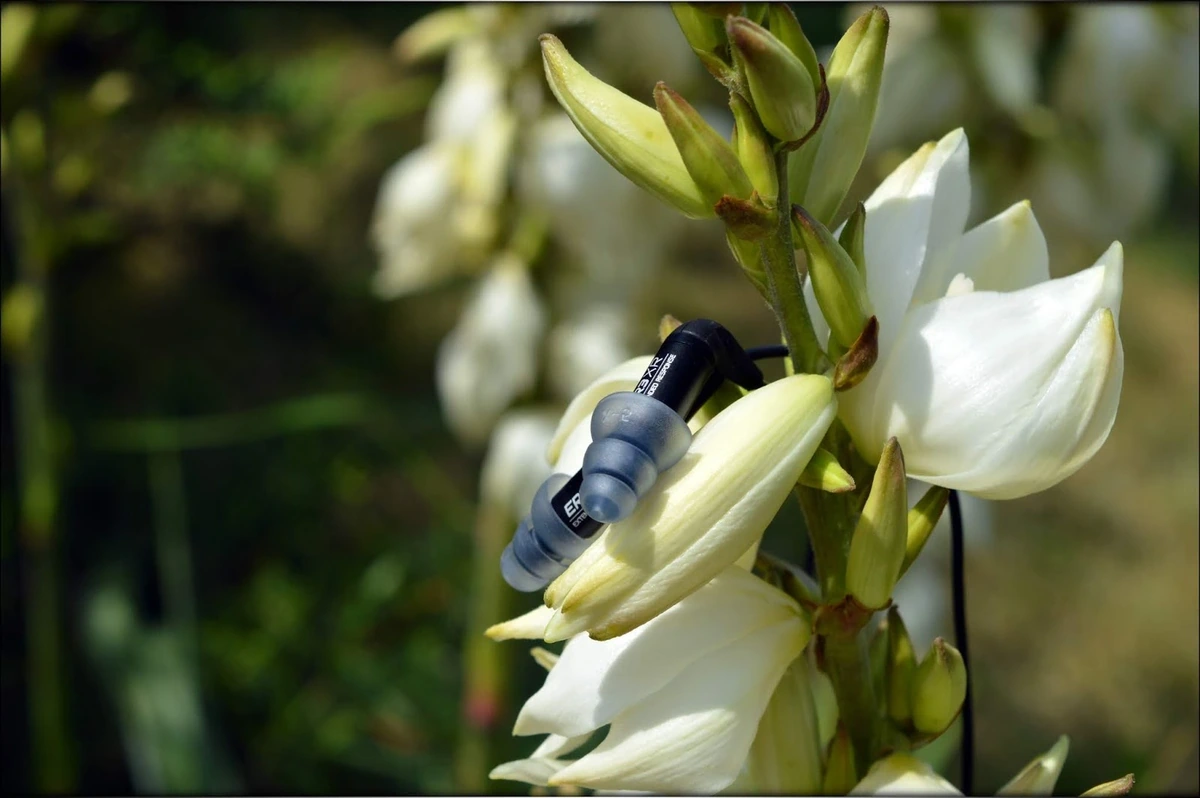 Precise Beauty - Etymotic ER3XR IEMs Review Precise Beauty - Etymotic ER3XR IEMs Review