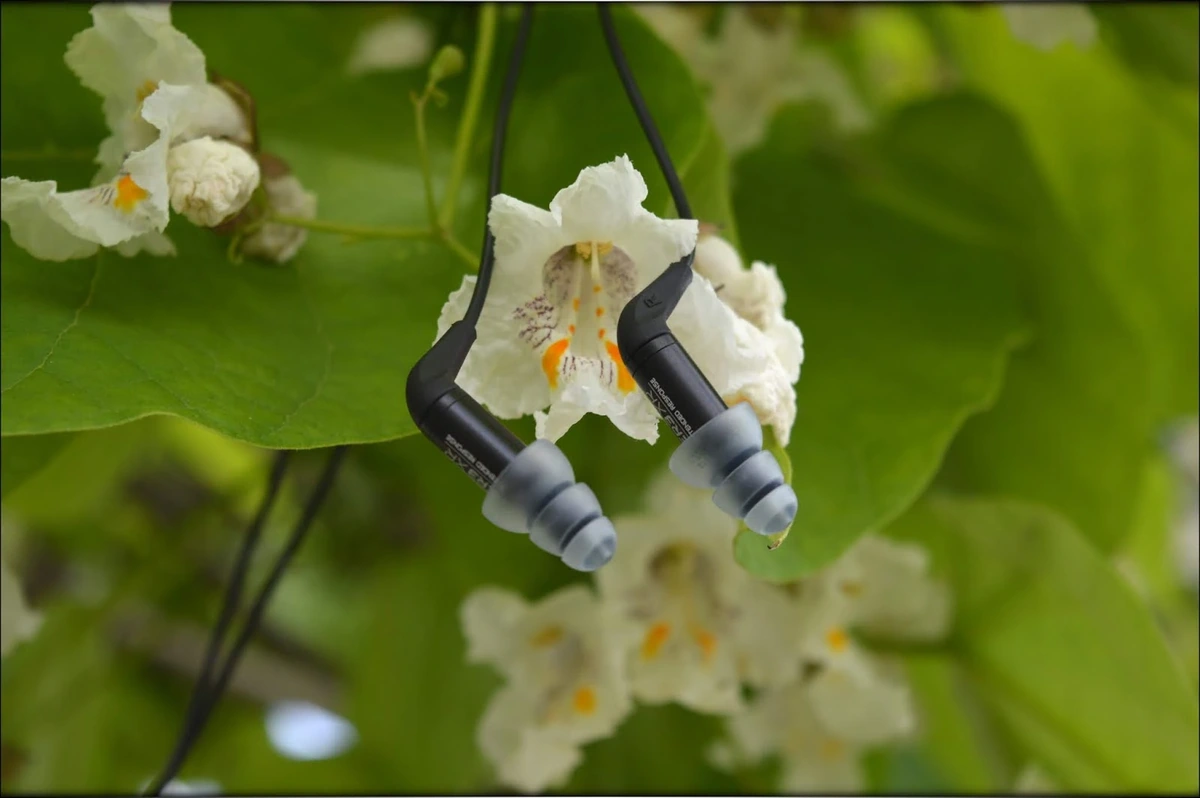 Precise Beauty - Etymotic ER3XR IEMs Review
