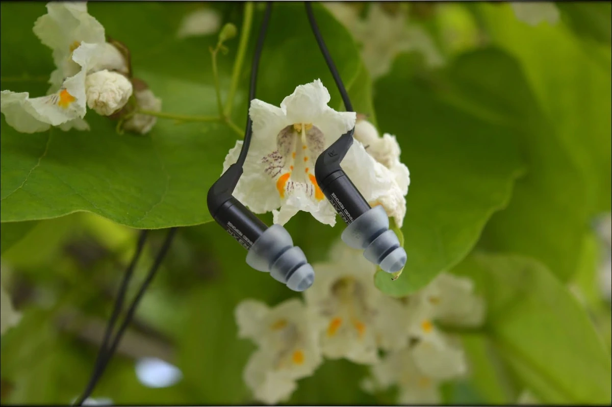 Precise Beauty - Etymotic ER3XR IEMs Review Precise Beauty - Etymotic ER3XR IEMs Review