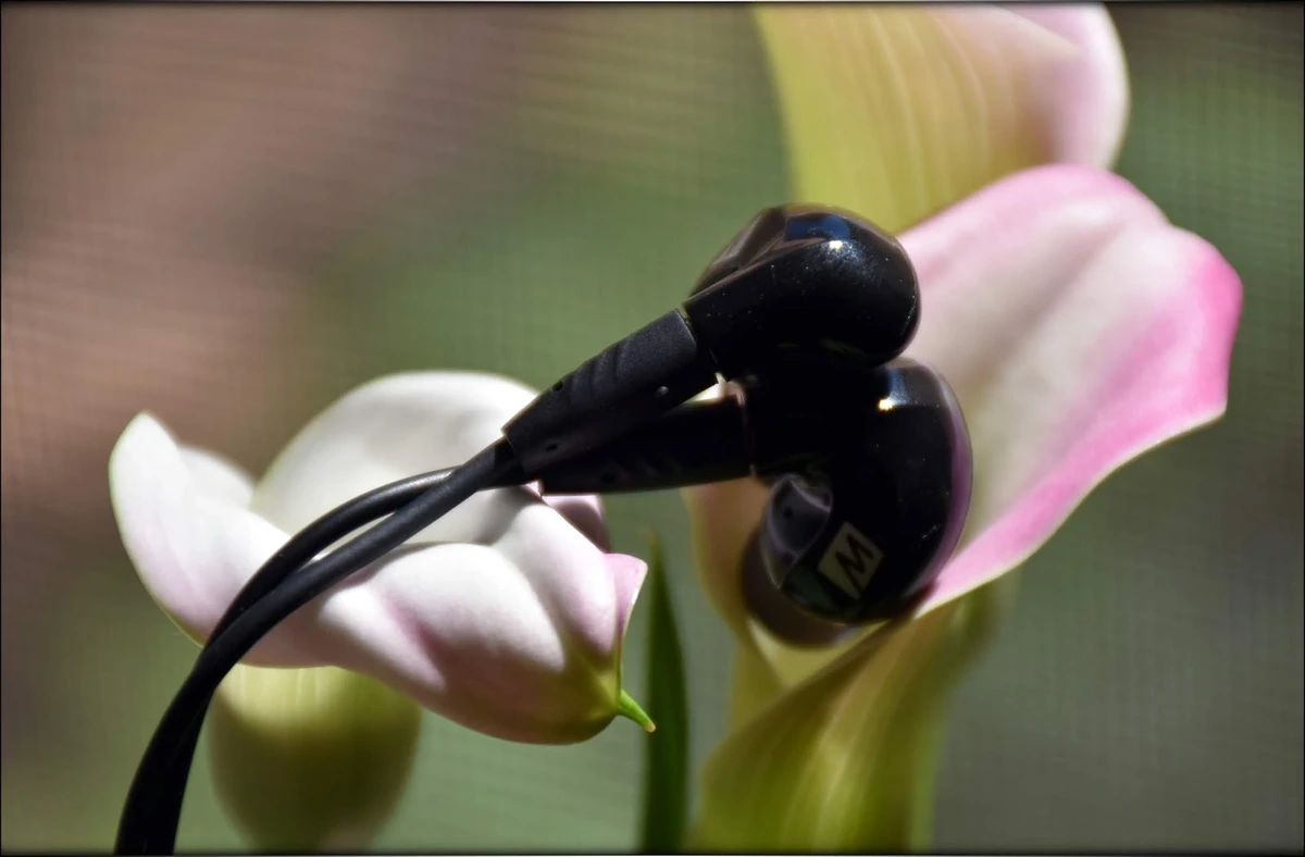 MEE Audio Pinnacle P2 IEMs Review - Audiophile-Heaven