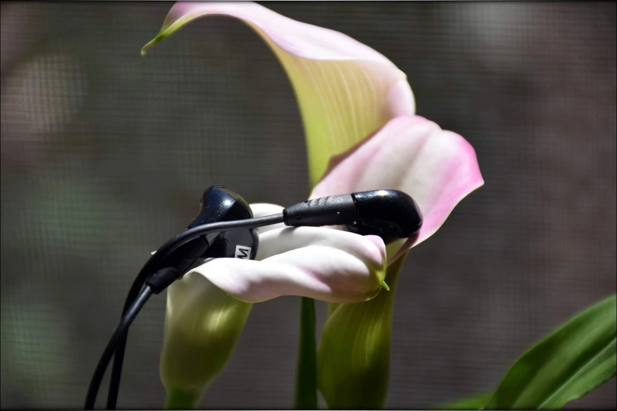 MEE Audio Pinnacle P2 IEMs Review - Audiophile-Heaven MEE Audio Pinnacle P2 IEMs Review - Audiophile-Heaven