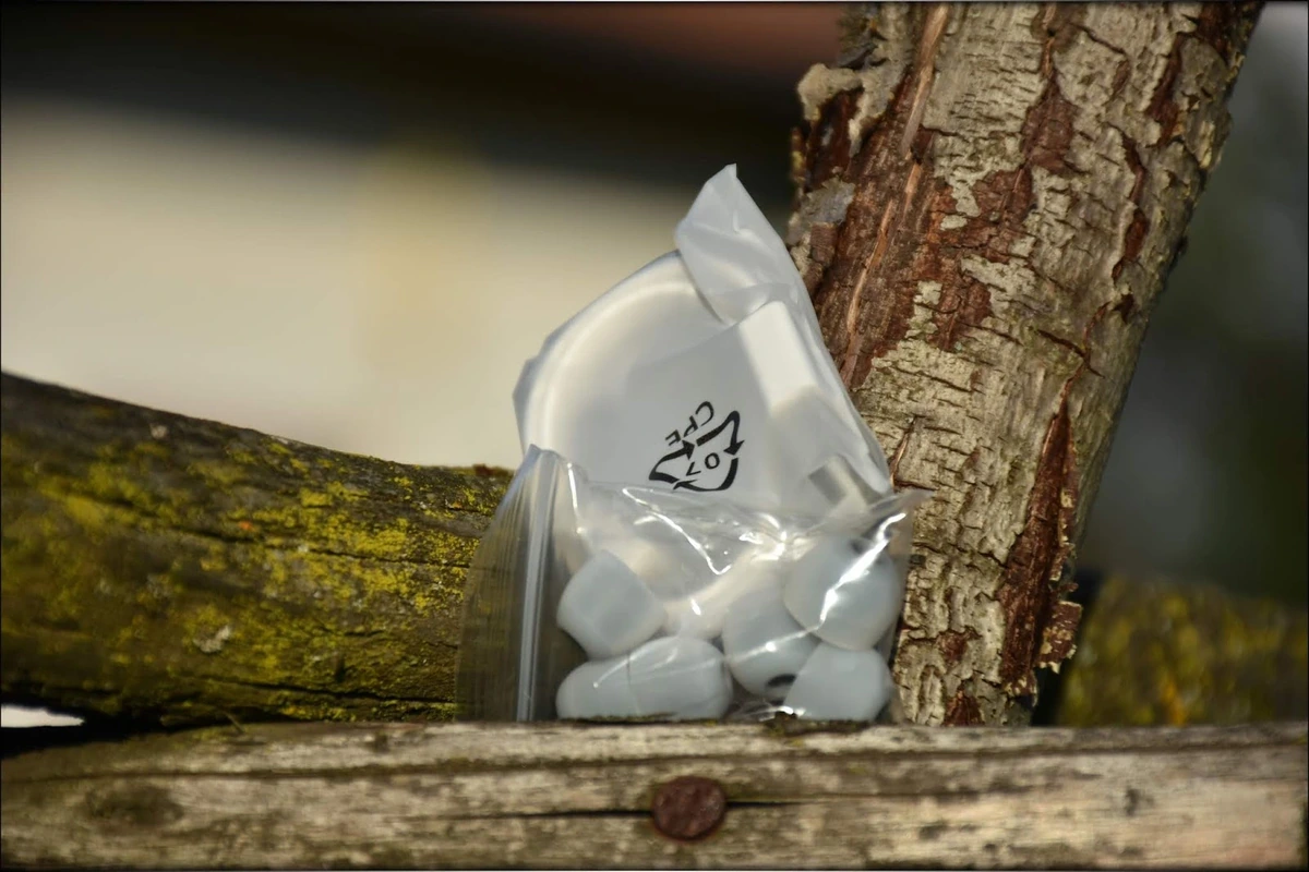 NuForce Dynamic BE2 and HEM8 IEMs Review Photo NuForce Dynamic BE2 and HEM8 IEMs Review Photo