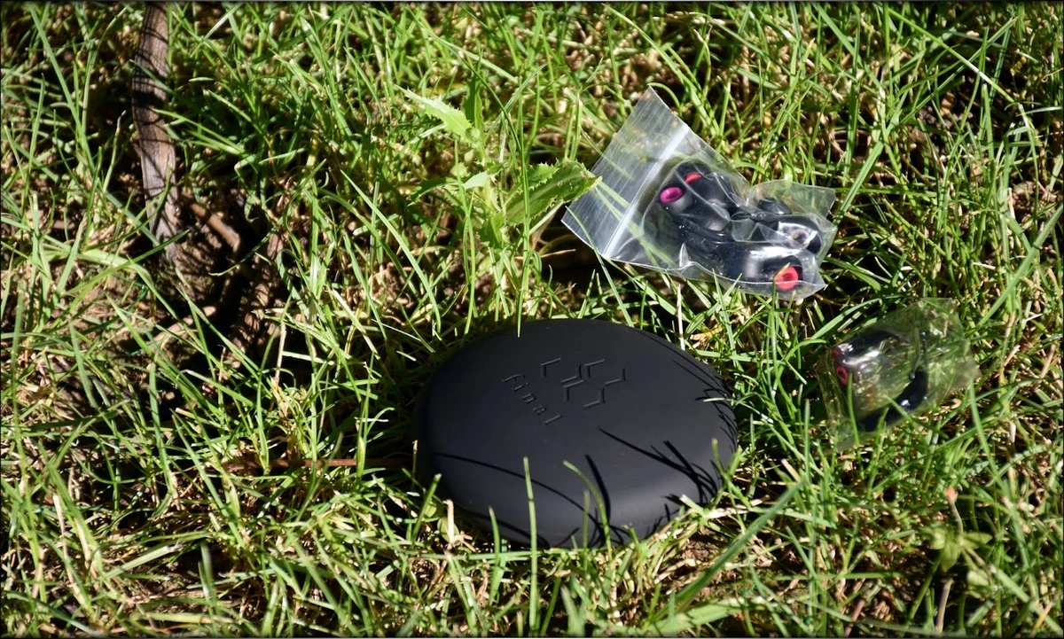 Final E4000 IEMs Review Final E4000 IEMs Review