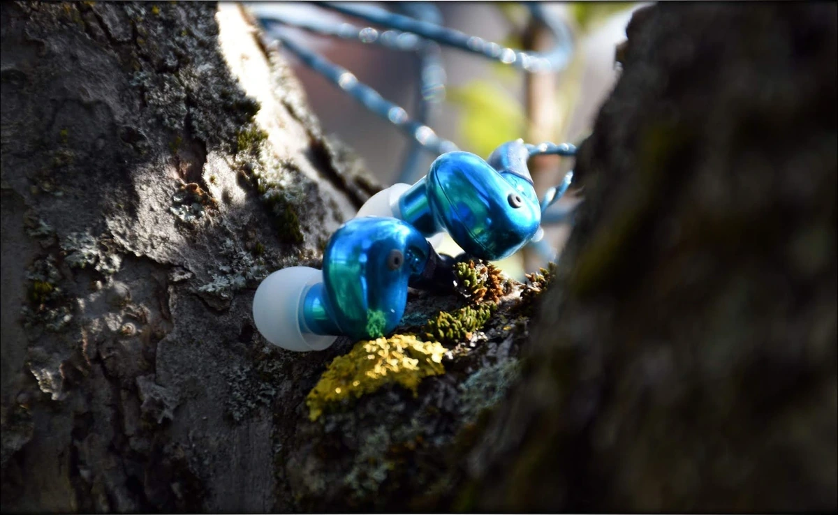 FLC 8N Sitting comfy between the branches of a tree FLC 8N Sitting comfy between the branches of a tree