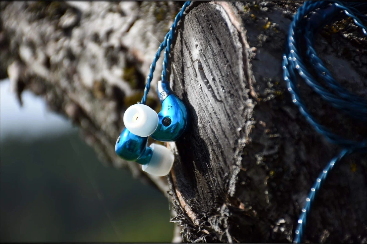 FLC 8N, Artistic Shot On A Tree Branch FLC 8N, Artistic Shot On A Tree Branch
