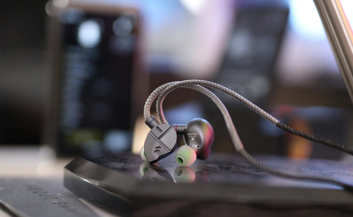 RAPTGO LEAF D01 IEMs - Nature Is Music — Audiophile Heaven