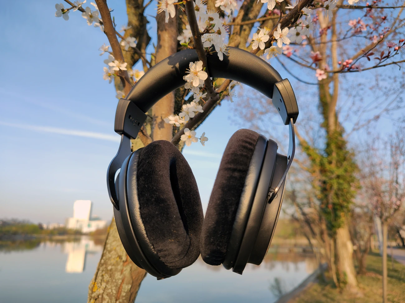 ThieAudio Ghost - Sapphire Dynamic Driver — Audiophile Heaven